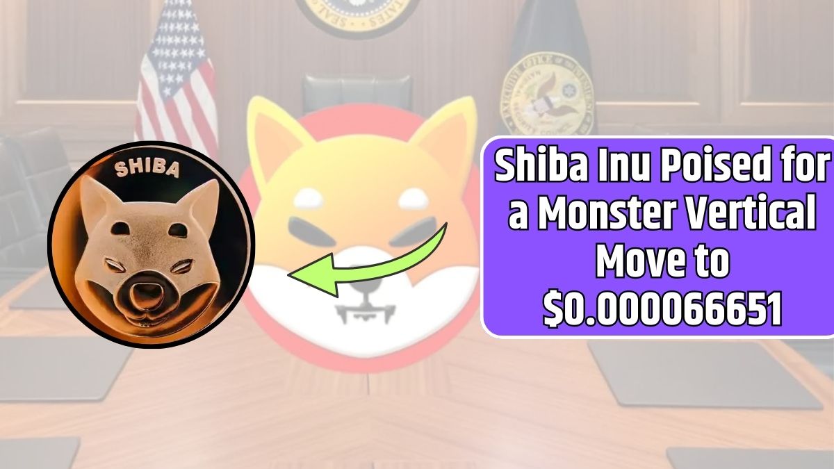 Shiba Inu Poised for a Monster Vertical Move to $0.000066651